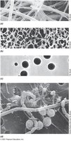 Microbiological filters