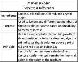 MacConkey agar summary table