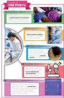 The Five I's of Microbiology