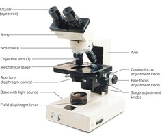 Student Laboratory Microscope