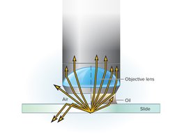Oil Immersion Lens Reduces Light Scatter