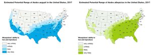 Aedes mosquito range in US