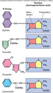 Penicillin derivatives structure