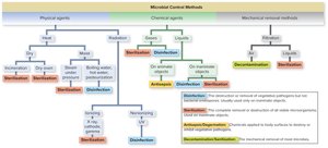 Overview of microbial control methods
