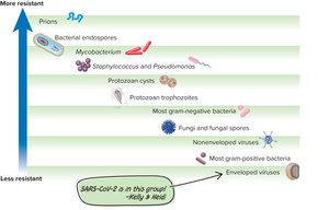 Relative resistance of different microbial types