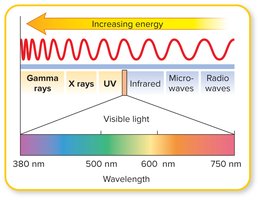 Electromagnetic spectrum showing types of radiation