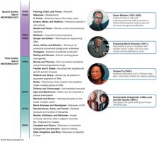 Second and Third Golden Ages of Microbiology