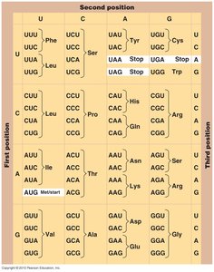 The genetic code table