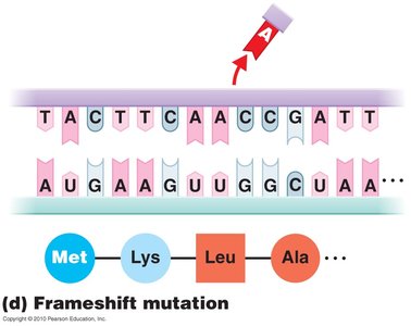 Frameshift mutation example
