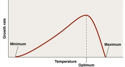 Graph showing minimum, optimum, and maximum growth temperatures