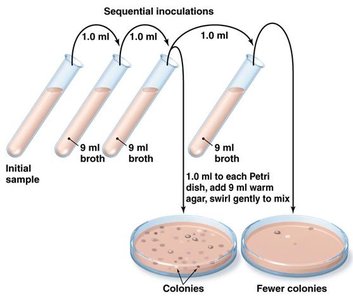 Serial dilution and plating