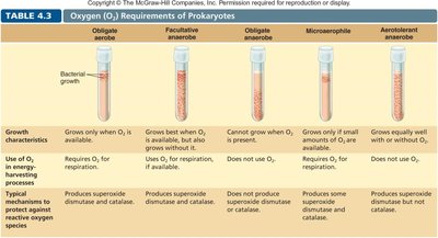 Table of oxygen requirements for prokaryotes