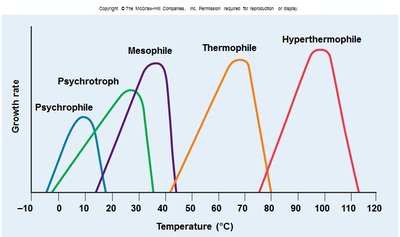 Growth rate of different microbial groups at various temperatures
