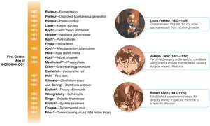 Timeline of Golden Age of Microbiology