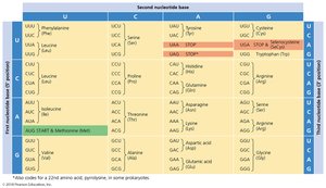The genetic code