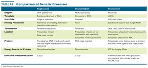 Table: Comparison of Genetic Processes