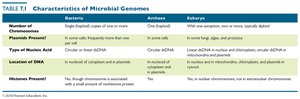 Table: Characteristics of Microbial Genomes