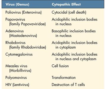 Table of cytopathic effects of viruses