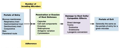 Overview of pathogenesis: entry, adherence, evasion, damage, exit