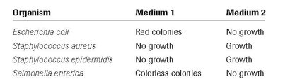 Table showing growth of four bacteria on two media