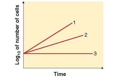 Graph showing three lines of cell growth over time