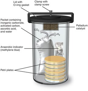 Jar for cultivating anaerobic bacteria