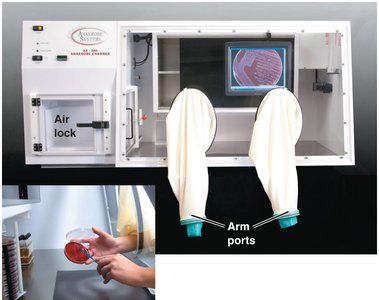 Anaerobic chamber