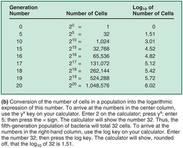 Logarithmic and arithmetic growth curves