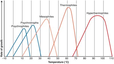 Growth rates of different types of microorganisms in response to temperature