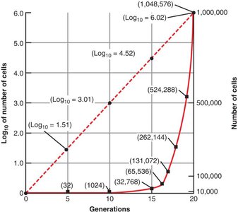 Growth curve for an exponentially increasing population