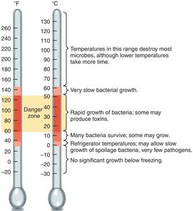 Temperatures for food safety