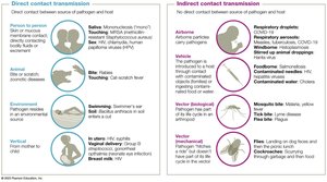 Direct and indirect contact transmission of pathogens