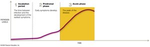 Incubation, prodromal, and acute phases of disease progression