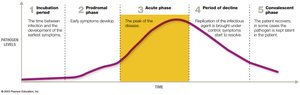Convalescent phase in infectious disease progression