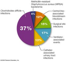 Pie chart of common healthcare-acquired infection pathogens