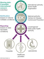 Disease reporting and surveillance flowchart