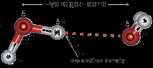 Hydrogen bond length and energy in water