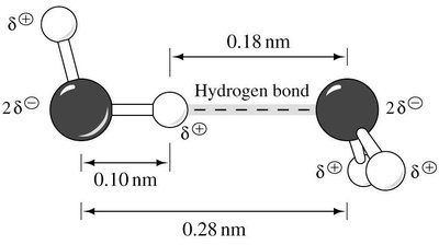 Tetrahedral arrangement of hydrogen bonds in water