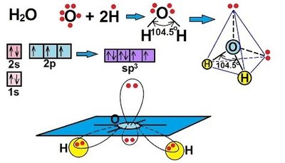 Electronic structure and hybridization in water