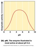 Effect of pH on enzyme activity