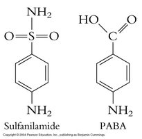 Sulfa drugs as competitive inhibitors