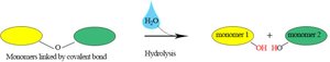 Hydrolysis of covalent bonds in catabolism