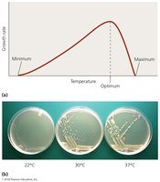 Effects of temperature on microbial growth