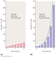 Arithmetic vs. logarithmic growth