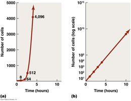 Logarithmic growth curves