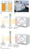 Turbidity and spectrophotometry