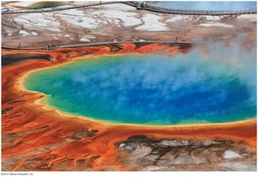 Thermophilic bacteria in Yellowstone