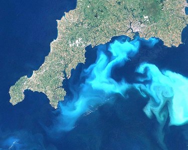 Satellite image of algal bloom off the coast of England