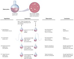 Pasteur’s experiments on fermentation