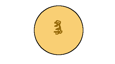 Binary fission TEM image